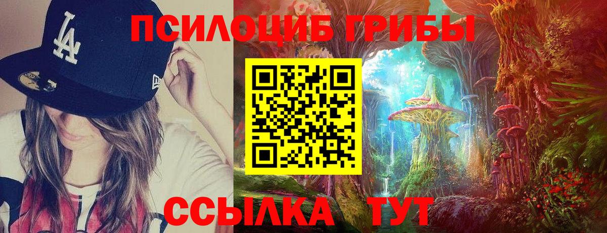 Галлюциногенные грибы Psilocybine cubensis Губкинский